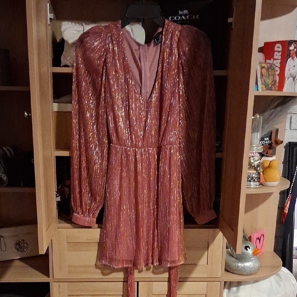 Forever 21 Metallic Pink Long Sleeve Dress